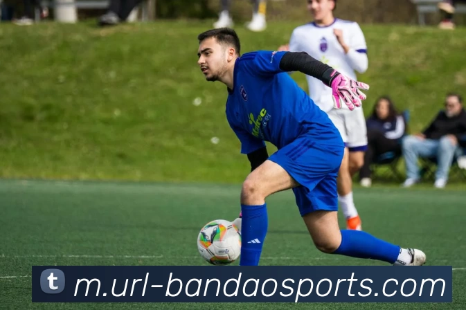 半岛体育APP 高清赛事图